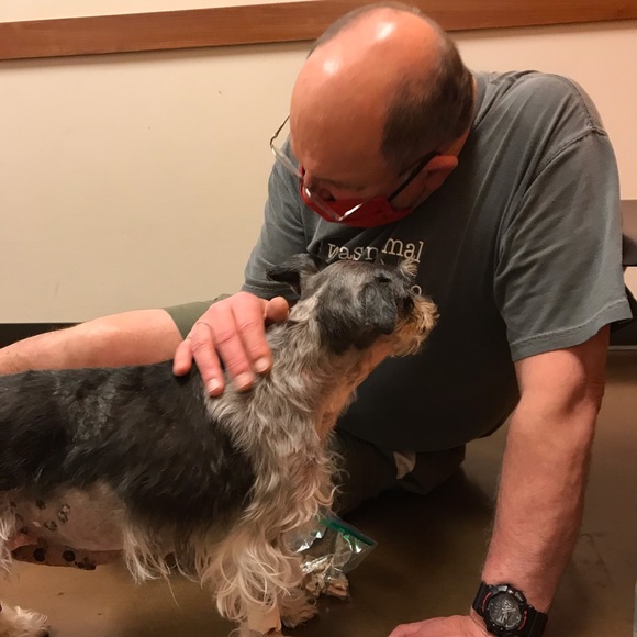 Meet your Posher, Audrey - Picture 8 of 13